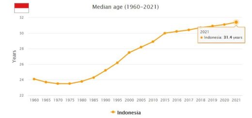 Indonesia Median Age