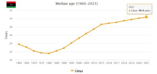 Libya Median Age